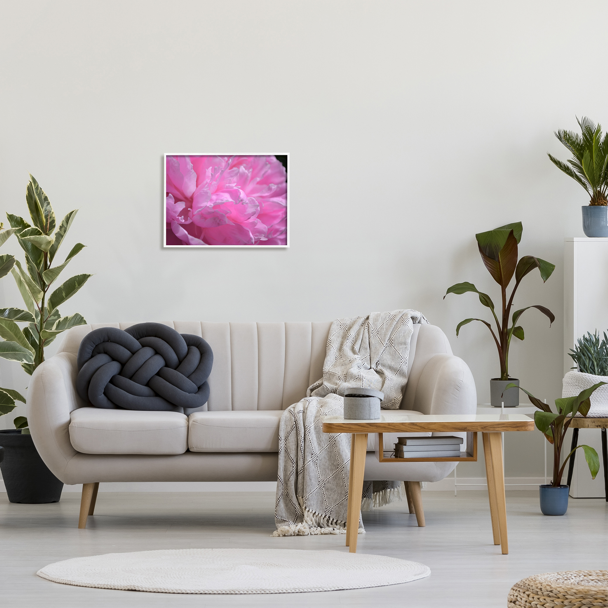 Stupell Industries Pink Carnation Photography Botanical & Floral Photography White Framed Art Print Wall Art, 20 x 16
