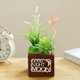 thumbnail image 5 of Simulación de bonsái suculento, combinación de lavabo de madera, decoración del hogar, plantas verdes artificiales, decoraciones creativas, 5 of 5