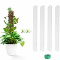 thumbnail image 4 of Ruiboury Indoor Potted Plant Sticks Support Unique Easy Growth For Plants 6pcs Set, 4 of 6