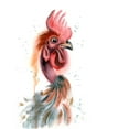 thumbnail image 3 of Shefranov, Olga 12x14 Black Modern Framed Museum Art Print Titled - Rooster, 3 of 5