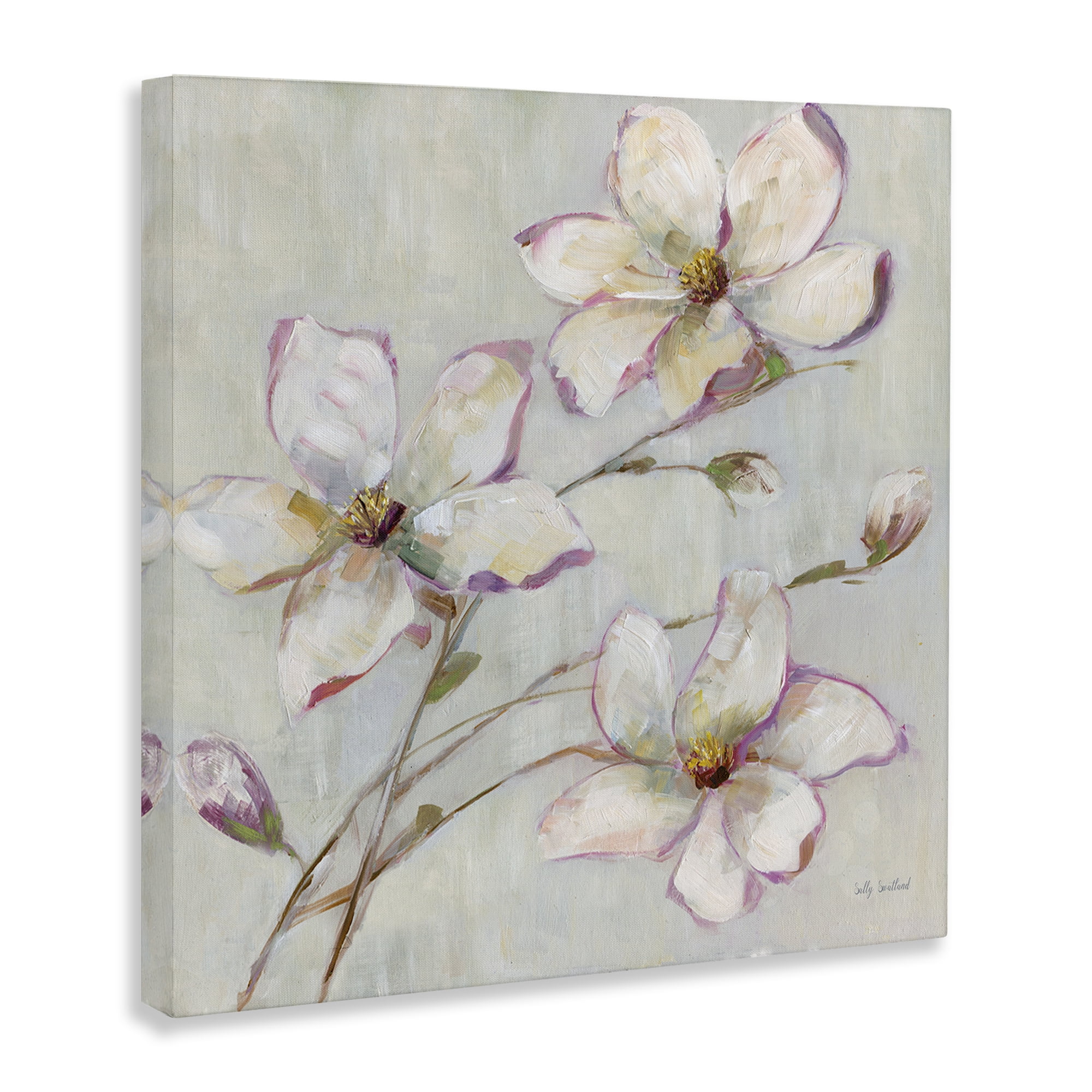 Stupell Industries Apple Blossom Botanicals Botanical & Floral Painting Gallery Wrapped Canvas Art Print Wall Art, 17 x 17