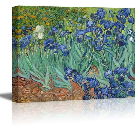 Owl On Canvas wall26 Irises by Vincent Van Gogh - Oil Painting Reproduction on Canvas Prints Wall Art, Ready to Hang - 12x18 inches ()