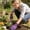 Purple, variant on Nitrile-Coated Gardening Gloves, Thorn & Puncture Resistant Work Gloves, Non- Breathable Gloves For Digging, Pruning & Planting, Unisex(Green)