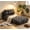 Grey, variant on Folding Sofa Bed, Convertible Sleeper Chair with Pillow Foldable Mattress with Back Support, Portable Fold Out Chair Bed Comfy Floor Sofa Lounge for Living Room Bedroom, Single