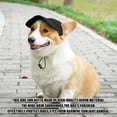 thumbnail image 3 of Sombrero para perros con orificios para las orejas – Gorra de béisbol transpirable con visera para paseos por la playa en verano, correa ajustable para la barbilla para protección solar al a, 3 of 5