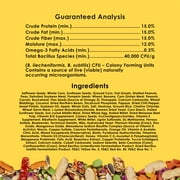 Kaytee Fiesta Big Bites Small Parrot & Conure Food 4 Pounds