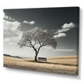 thumbnail image 2 of Designart "Monochrome Tree'S Solitude Bench" Meadow Canvas Prints, 2 of 7