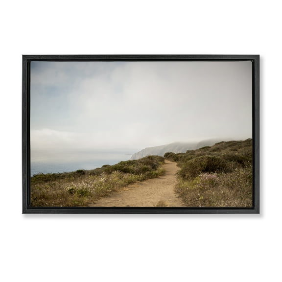 Stupell Industries Wild Coast Pathway Landscape & Nature Photography Black Floater Framed Canvas Art Print Wall Art, 25 x 17