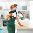 thumbnail image 2 of Portable Fogger Machine Handheld Rechargeable Steam Sprayer For Home Garden Black Spray, 2 of 8