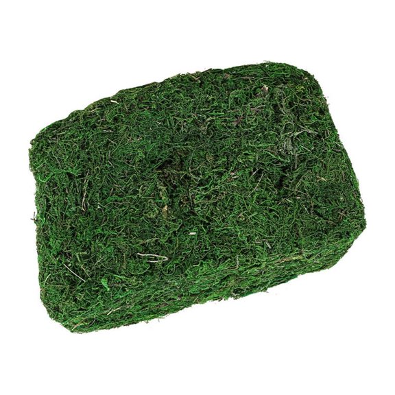 Bearachild 300g Artificial musgo falso secado verde ladrillo liquen bloque plantas decorativas jardín centros de terrarios Decoración Plantas Artificiales Bearachild HA084196-00