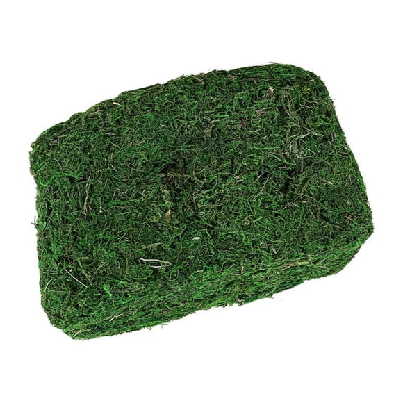 Bearachild 300g Artificial musgo falso secado verde ladrillo liquen bloque plantas decorativas jardín centros de terrarios Decoración Plantas Artificiales Bearachild HA084196-00