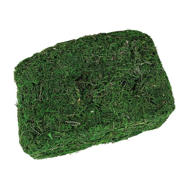 Bearachild 300g Artificial musgo falso secado verde ladrillo liquen bloque plantas decorativas jardín centros de terrarios Decoración Plantas Artificiales Bearachild HA084196-00