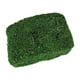 thumbnail image 1 of Bearachild 300g Artificial musgo falso secado verde ladrillo liquen bloque plantas decorativas jardín centros de terrarios Decoración Plantas Artificiales Bearachild HA084196-00, 1 of 6