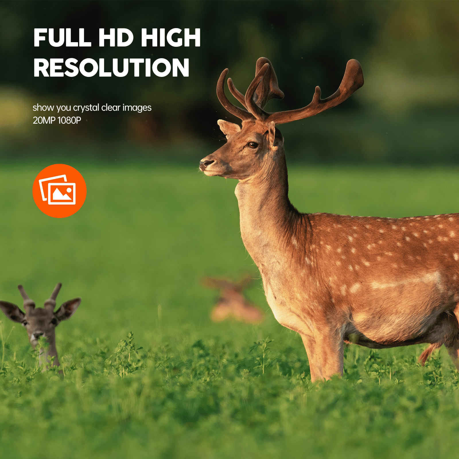 CAMPARK Trail Camera 1080P Game Camera with Night Vision Waterproof Hunting Deer Trail Cam for Wildlife Monitoring