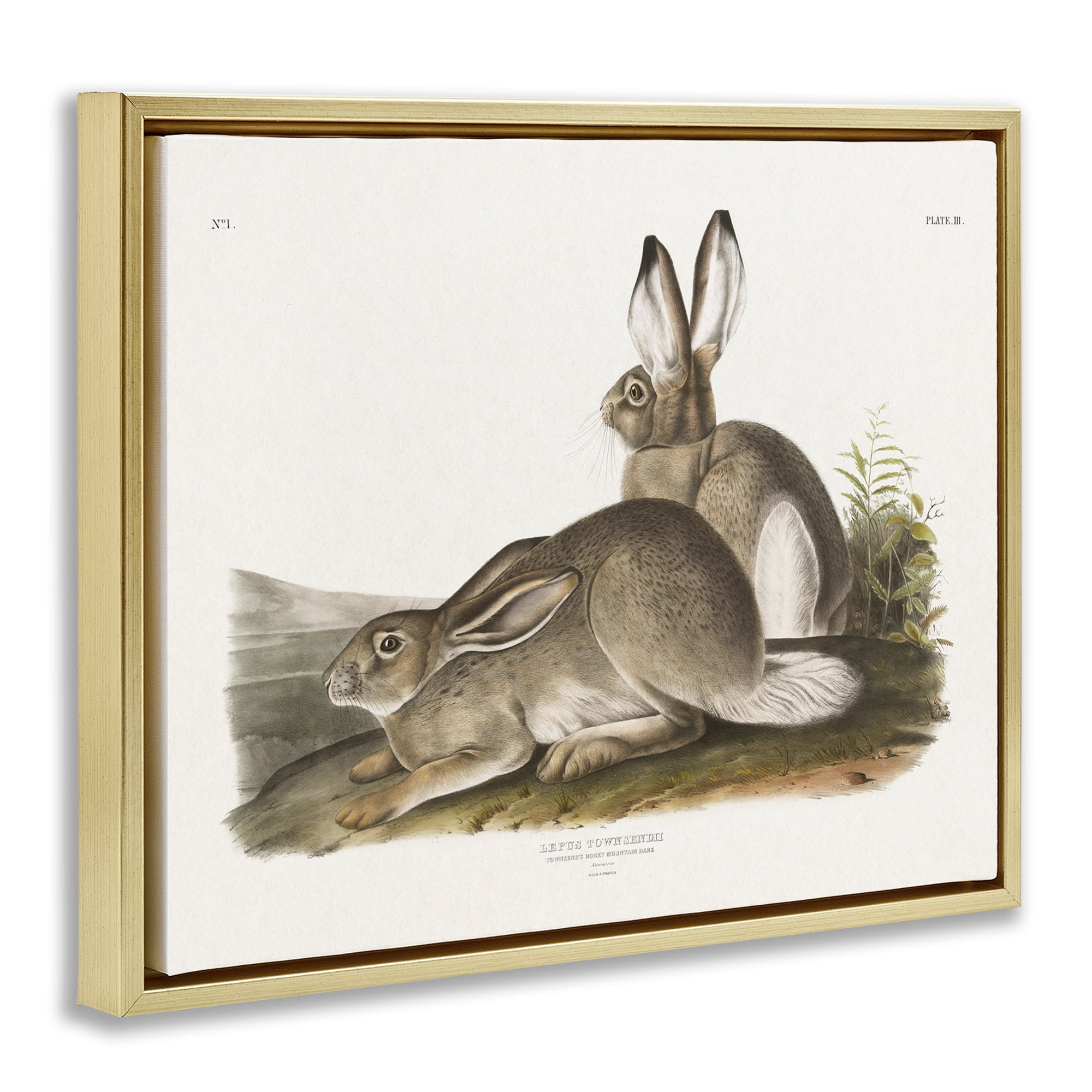 Stupell Industries Traditional Cottage Hare Animals & Insects Painting Gold Floater Framed Canvas Art Print Wall Art, 31 x 25