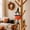 C, variant on Cififendec Halloween Witch Hanging Ornament, 8.66"×5.11", Pumpkin Head Bat Wing Witch Doll Pendant with Broom and Bell Details for Mantel Cornice Trellis Archway Holiday Decor