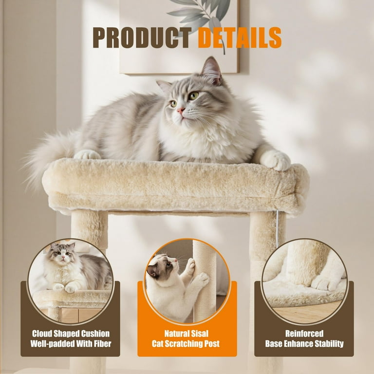 edx, Cat Tree Tower, 63
