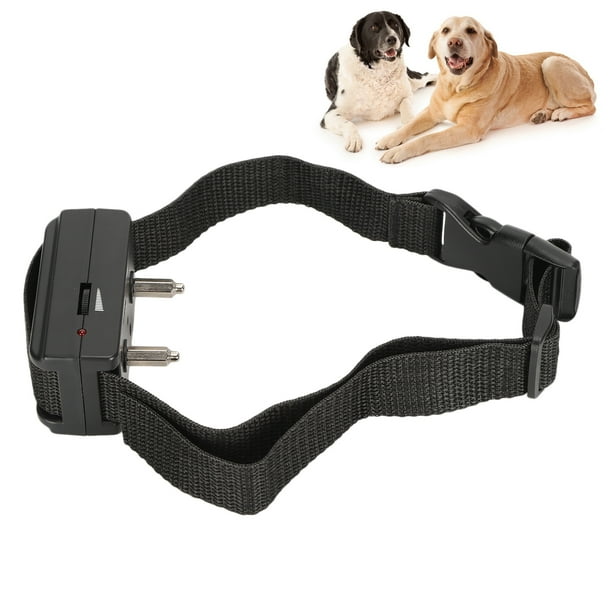 Man 2024 dog collar