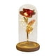 thumbnail image 4 of Eternal Flowers Flower Decor Tabletop Home En Cúpula Redonda Con Luces De Hadas Rojo Fernando  Flores eternas, 4 of 8