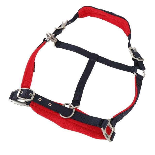 Licou de Cheval, Collier de Tête de Cheval Réglable et Résistant à l'Usure, Équipement de Cheval avec Boucle en Alliage de Zinc Robuste pour Usage Équestre