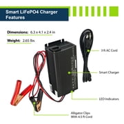 ExpertPower 12V 20A Smart Charger for Lithium LiFePO4 Deep Cycle Rechargeable Batteries…