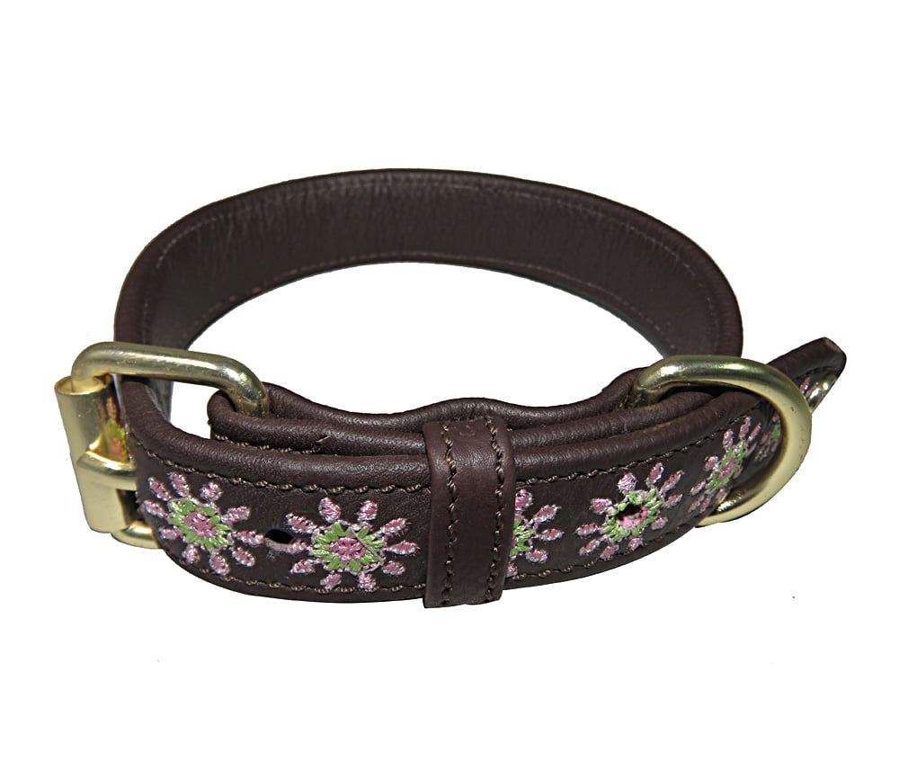 HALO DOG COLLOR LEATHER WITH AVA DOG COLLAR
