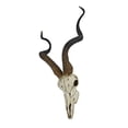 thumbnail image 3 of Veronese Design WU75827VA Kudu Skull Wall Sculpture, 3 of 5