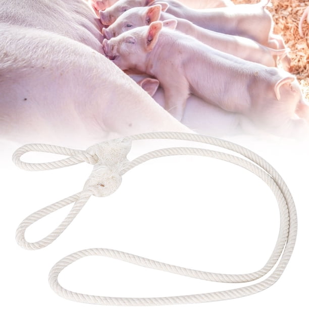 Cow Rope