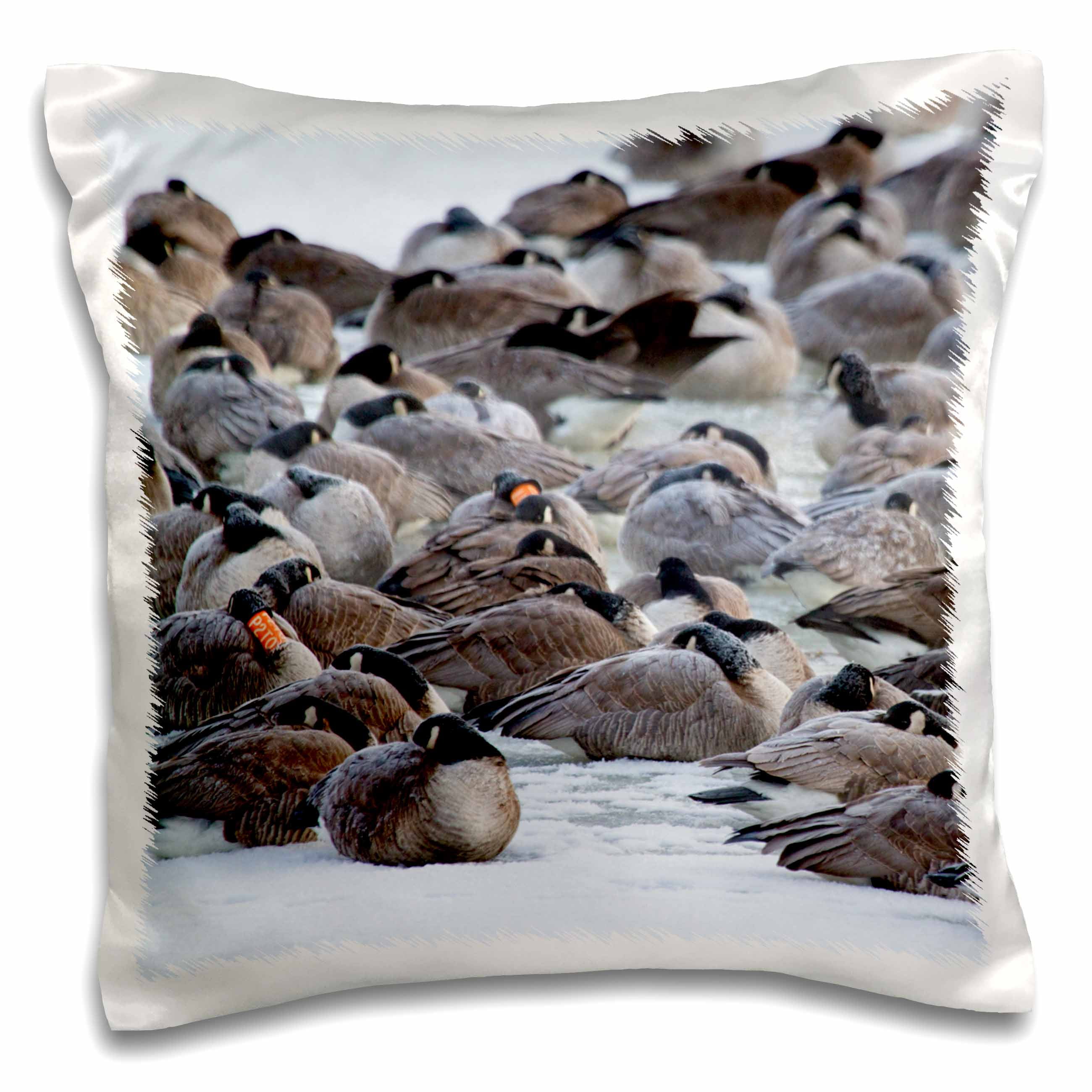 3drose Illinois Canada Geese Flock On Frozen Lake Pillow Case 16 By 16 Inch Walmart Com Walmart Com