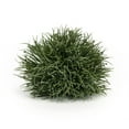 thumbnail image 2 of Home Decorative Half Orb (Set of 6) 7.5"D Plastic, 2 of 2