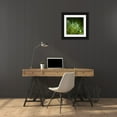 thumbnail image 3 of Maier, Norbert 20x20 Black Ornate Wood Framed with Double Matting Museum Art Print Titled - Morning Perls, 3 of 4