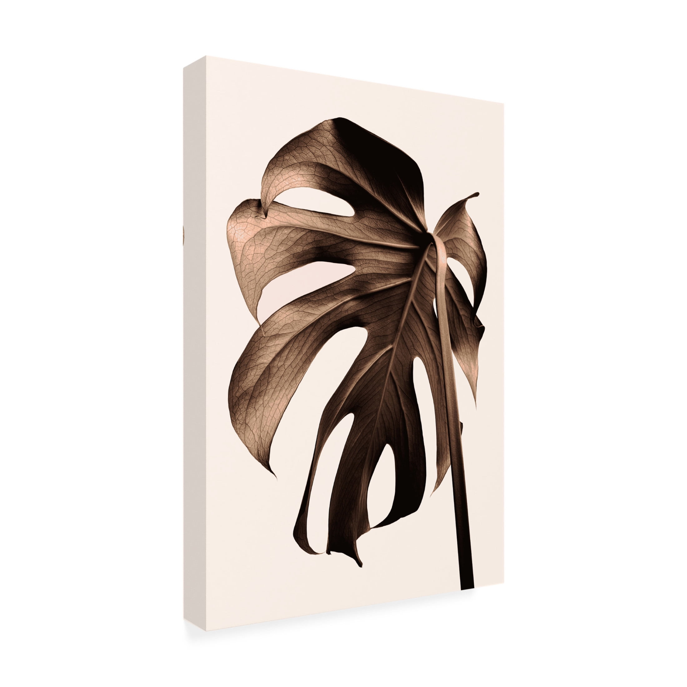 Trademark Fine Art Pictufy Studio III Monstera Gold Canvas Wall Art