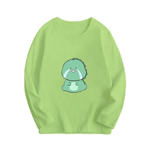 SGFCWSX Girls Long Sleeve Tops Round Neck Fleece Pullover Kids Fall T-Shirts Mint Green Size 5-6T