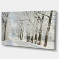 thumbnail image 2 of Winter Rural Road Among Frosted Trees - Forest Canvas Art Print, 2 of 4