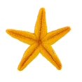 thumbnail image 4 of Safari Ltd Wild Safari Sea Life Starfish, 4 of 4