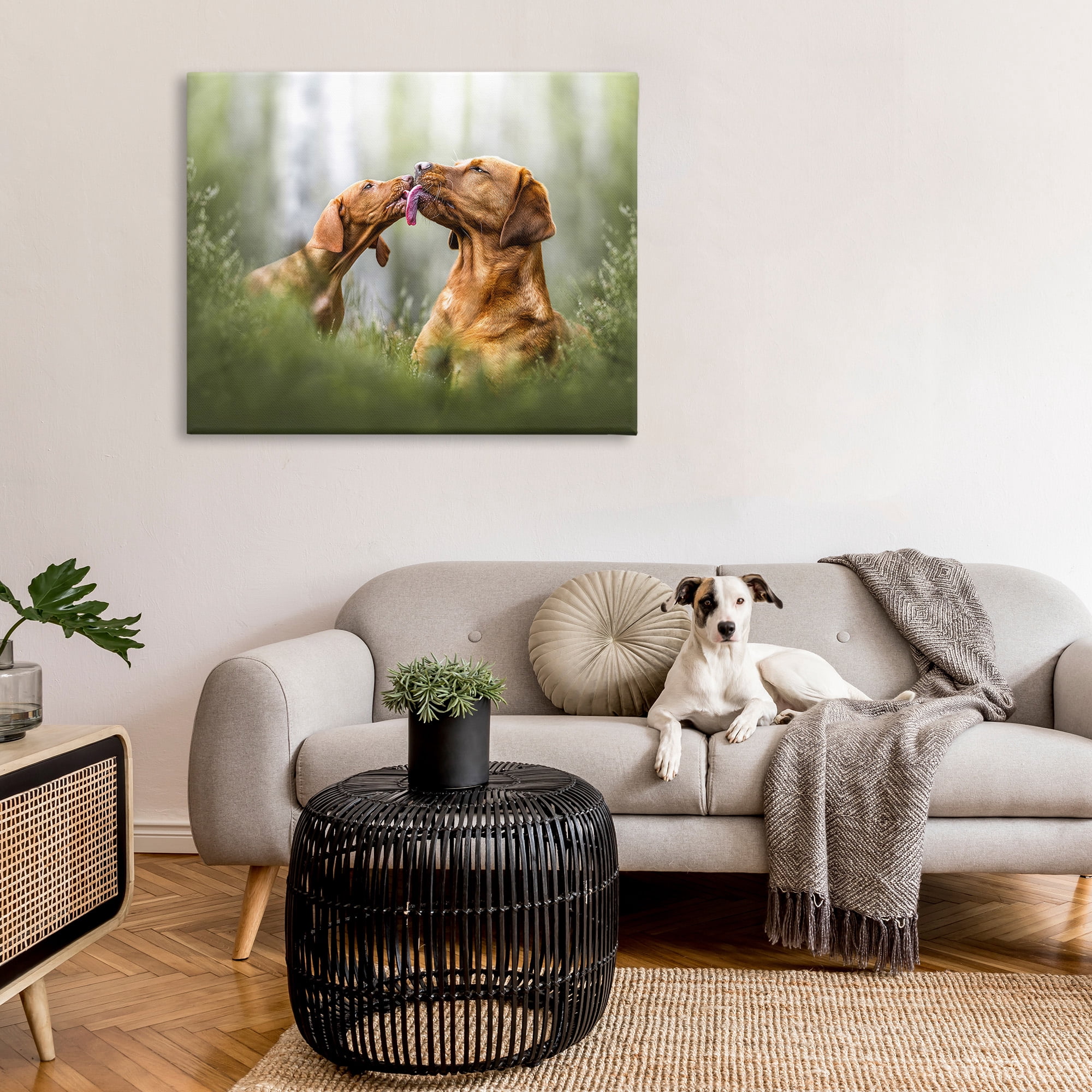 Stupell Industries Playing Puppies in Grass Animals & Insects Painting Gallery Wrapped Canvas Art Print Wall Art, 48 x 36