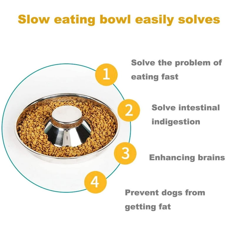 Stainless Steel Puppy Weaning Bowls Cat Food Water Bowls Puppy