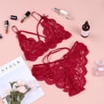 thumbnail image 5 of Conjunto de ropa interior para mujer, conjunto de sujetador y bragas de encaje, ropa interior con cordones, conjunto de ropa interior Sexy con abertura de encaje para mujer, 5 of 5