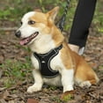 thumbnail image 3 of BAAPET Breathable Dog Harness for Small Puppy, Medium Dogs Step-in and Air Mesh with 6 Feet Reflective Rope Dog Leash (XL - 6 FT x Chest (24~28''), Black), 3 of 6