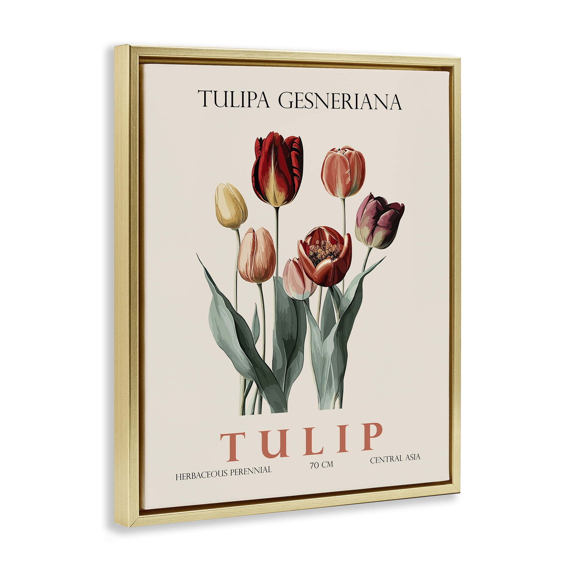 Stupell Industries Natural Tulip Bundle Gold Framed Floater Canvas Wall Art, design by Christopher Giampietro