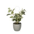 thumbnail image 5 of Soporte de Planta Unique Bargains Anillos Metal Estaca Redondo Blanco Paquete de 2, 5 of 5