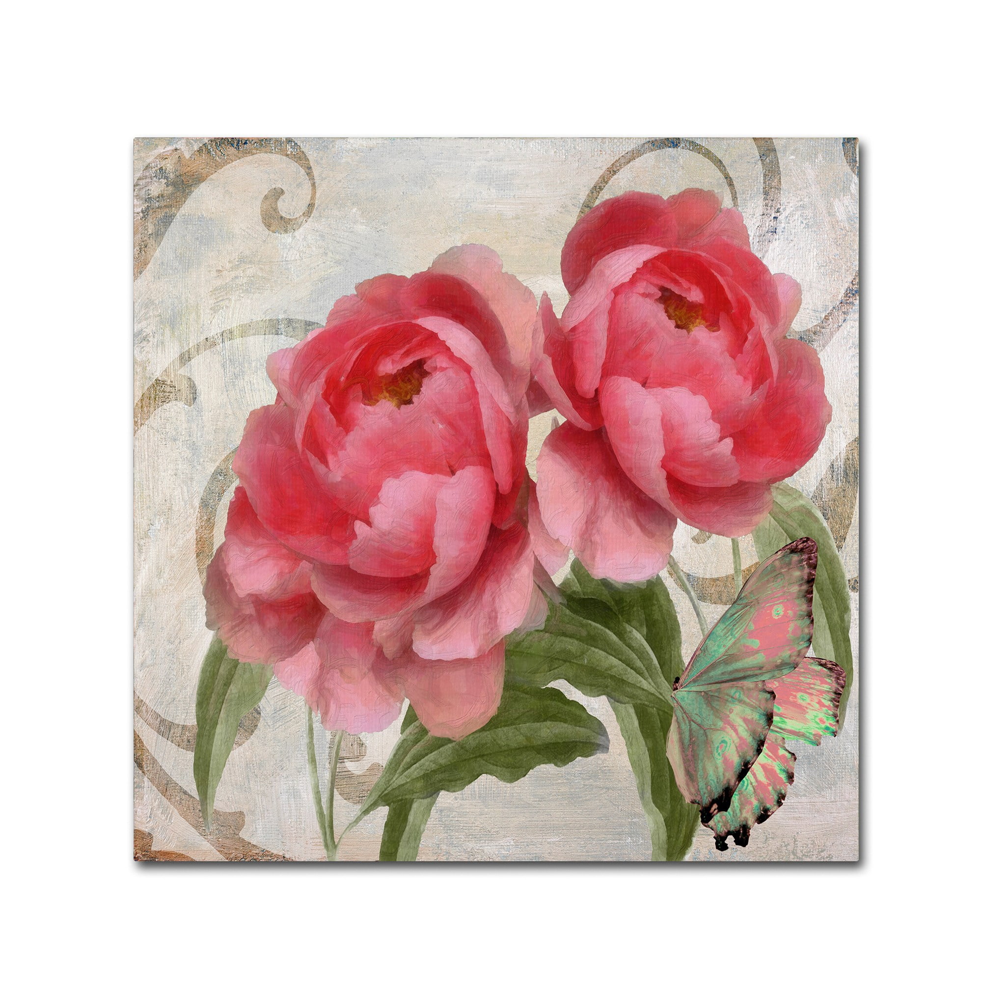 Trademark Fine Art "Apricot Peonies I" Canvas Art by Color Bakery