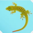 thumbnail image 1 of REOFLYUP Reptile Substrate Carpet Sky-Blue Rectangular for Bearded Dragon 1Pcs 23.6x59in, 1 of 6