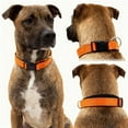 thumbnail image 5 of Collier pour Chien en Tissu Double Couche avec Design Réfléchissant pour Senior Accessoire de Laisse Respirant et Confortable, 5 of 5