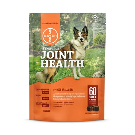 Bayer Synovi G4 Glucosamine Joint Supplement for Dogs, 60 Soft (Best Glucosamine Treats For Dogs)