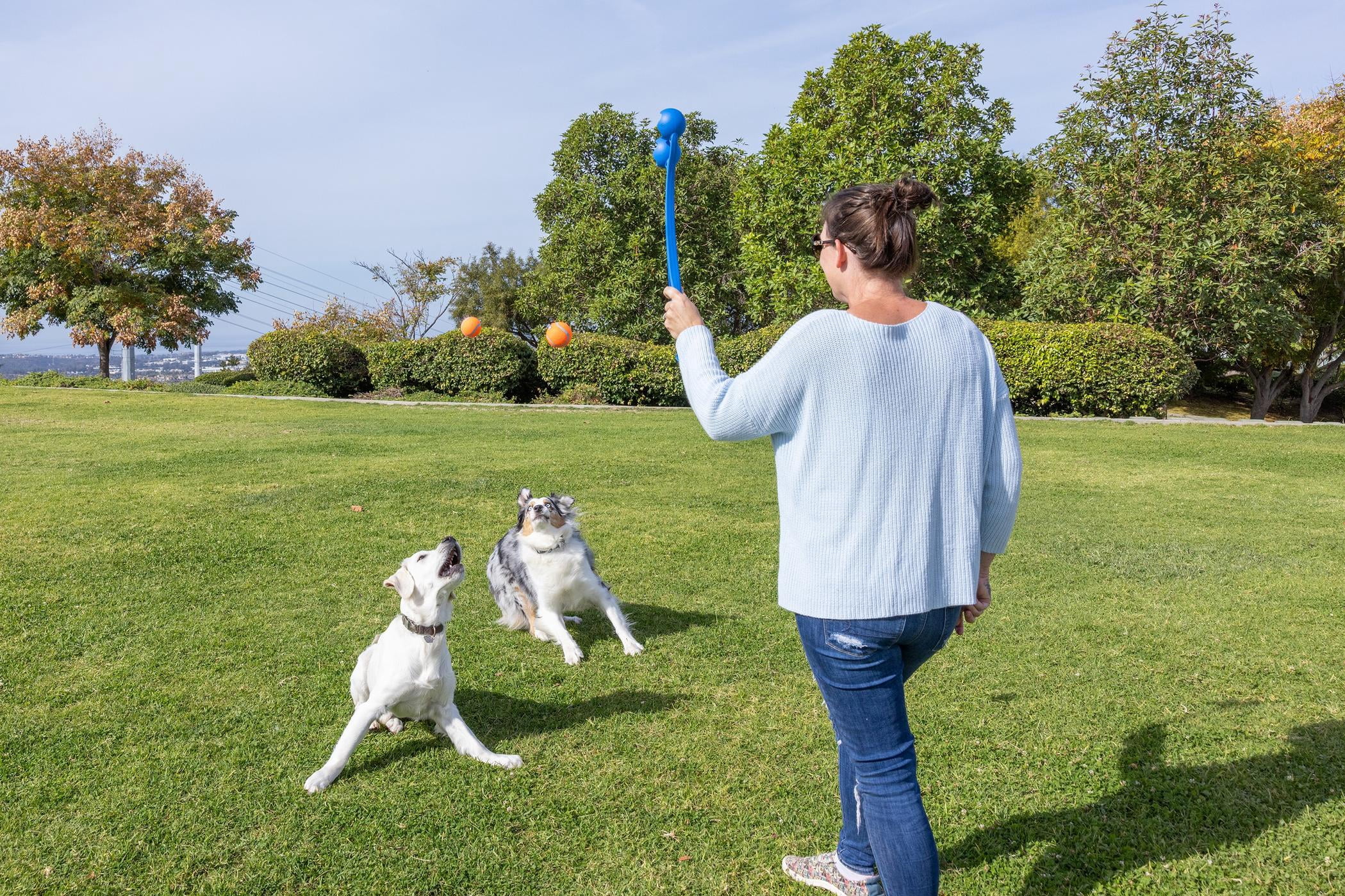 Chuckit! Duo 22M Double Dog Ball Launcher Fetch Toy for Dogs, 22" Length, Compatible with Medium 2.5" Balls (2 Balls Included)