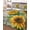 brown, variant on Quilt King Size Bedding Set, Sunflower Reversible Summer Quilt 3 Pieces, Yellow Flowers Summer Botanical Wooden Lightweight Bedspreads Coverlets with 2 Pillow Shams for All Seasons