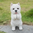 thumbnail image 1 of Playing Westie, 1 of 10