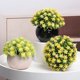 thumbnail image 3 of Planta en maceta de pulpa artificial NQ estrellas rojas, 3 of 4