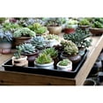 thumbnail image 4 of 20 Cells Gardening Mini Breathable Lids Plastic Germination Box Nursery Pots, 4 of 9